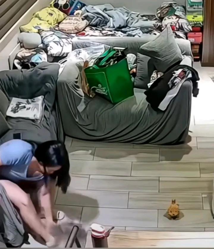 女子养的猫咪突然咬自己，女子舍不得下重手打她，挣脱后就拿被子盖住它了，她还跑