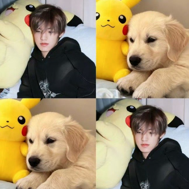 张泽禹先天小狗圣体，不管做什么动作，他都带着一种不经意的可爱，就像小狗探索世界一