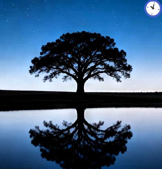 奉劝大家，晚上，千万不要，一直熬夜。熬夜真不是啥好事儿，长期下来，内分泌会失