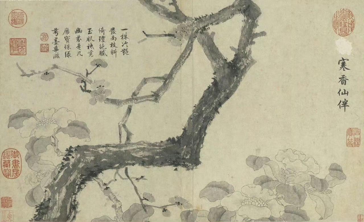 五一不出门，在家须赏【文徵明花卉册】收藏于台北故宫博物院​​​