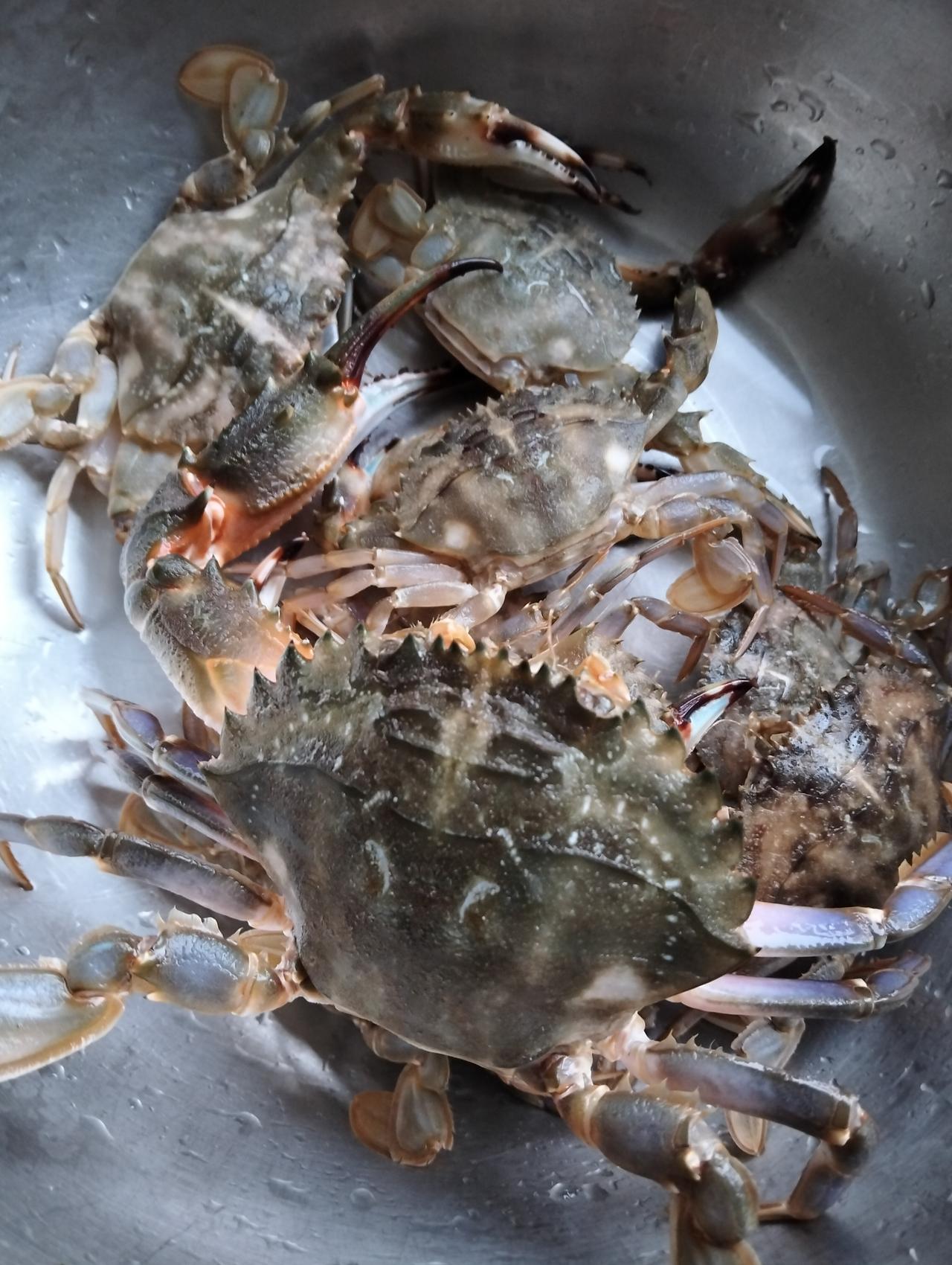 胃胀气是什么原因引起的?有医生吗？我发觉吃螃蟹和爬虾对胃有好处。我有一个胃胀气的