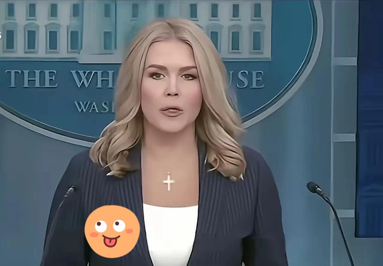 一针见血！白宫发言人卡罗琳·莱维特表示，美国已经厌倦为了开会而开会！她强调，希望