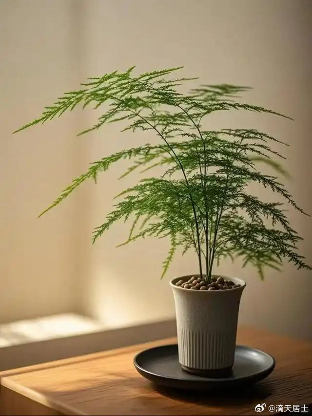 今年有置业机会的:有需求会主动出击的朋友，生肖虎跟生肖狗因为在2026都是属于三