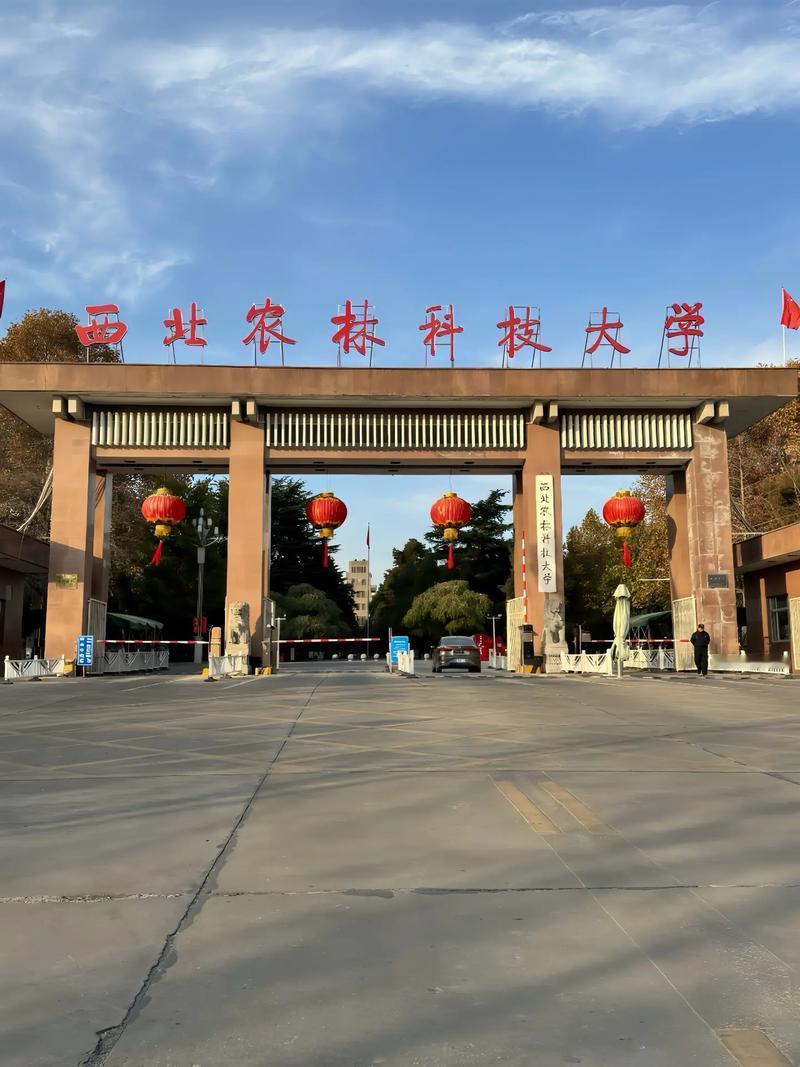 下面哪个大学不是副部级大学？1、南开大学2、复旦大学3、山东大学