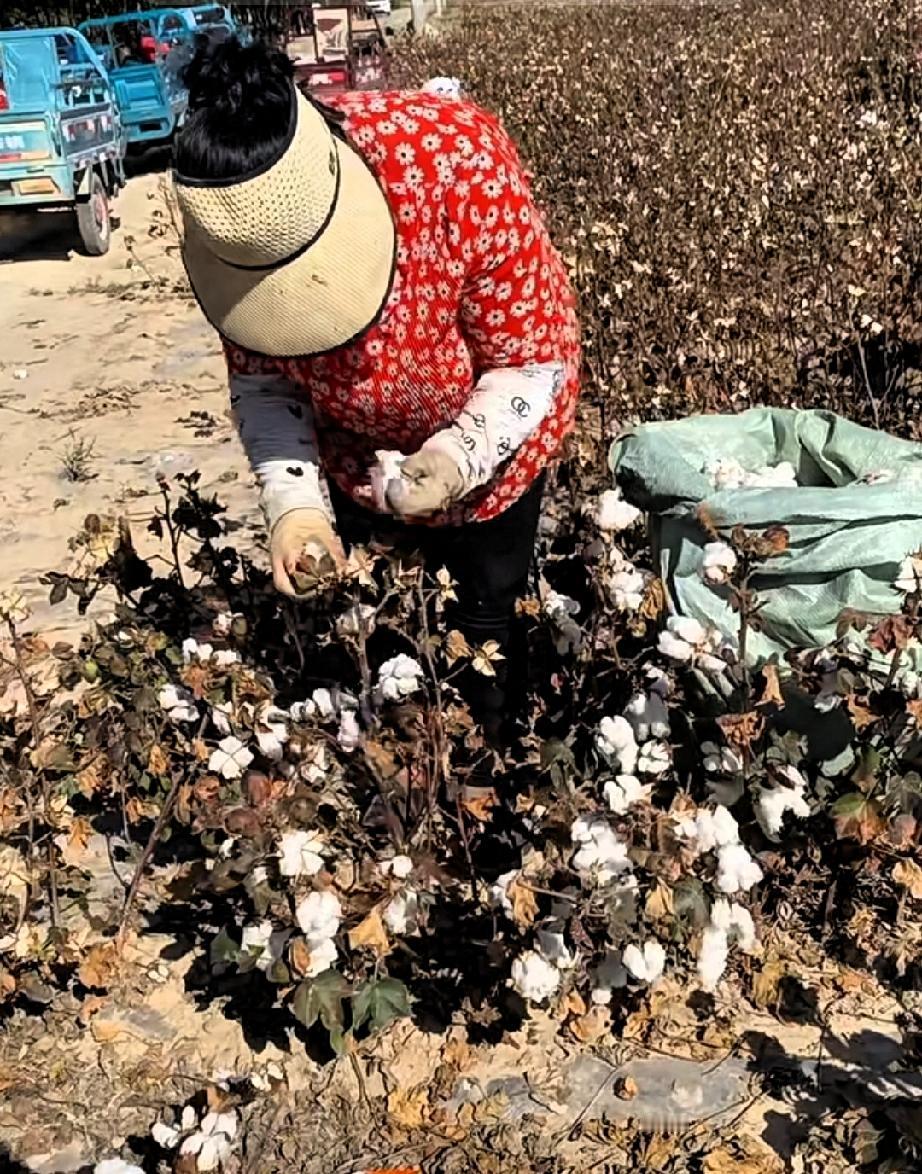 人要走之前，自己是有感觉的。河南icon一个57岁妇女，去新疆捡棉花才干了7天，