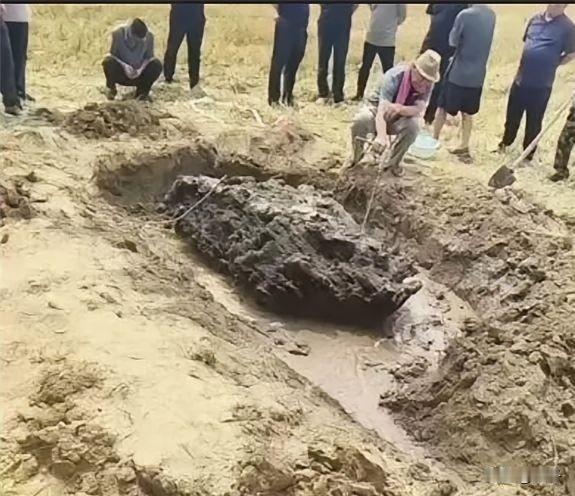 一场深夜雷雨，炸出了河北农田里的一桩离奇怪事，颠覆无数人的认知。6月12日