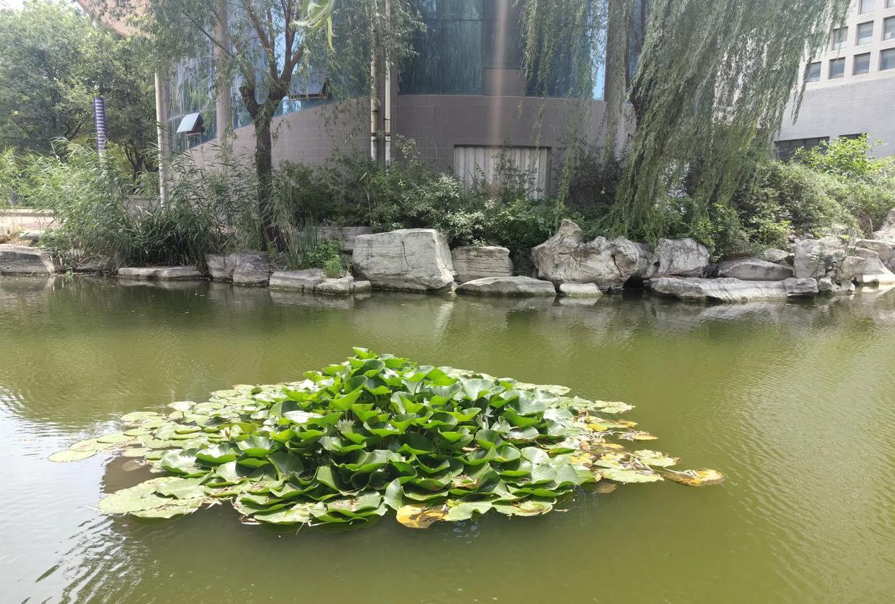 表姐三婚了，只是不知道这一次，这段婚姻又能维持多久。表姐多次离婚，原因有两个：