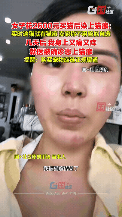 崩溃了！浙江嘉兴，女子花2600块钱买了一只猫当宠物，结果几天后她就后悔了