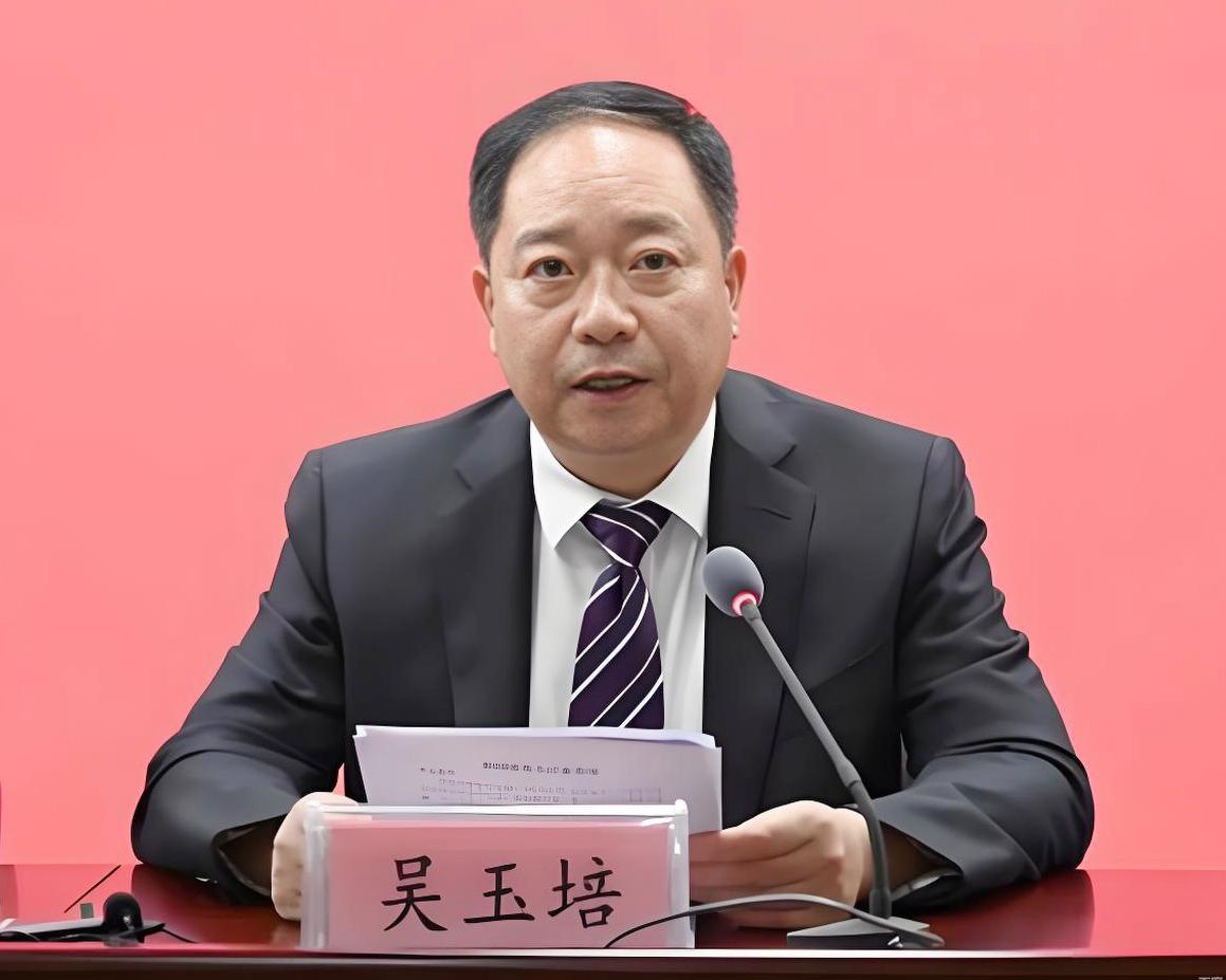 照片中的老吴是河南漯河市人，两年前我在洛阳市时见过他一面。当时他带队到洛阳的河洛