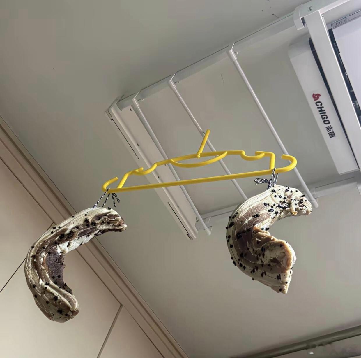 咸肉和香肠，你更爱吃哪个？