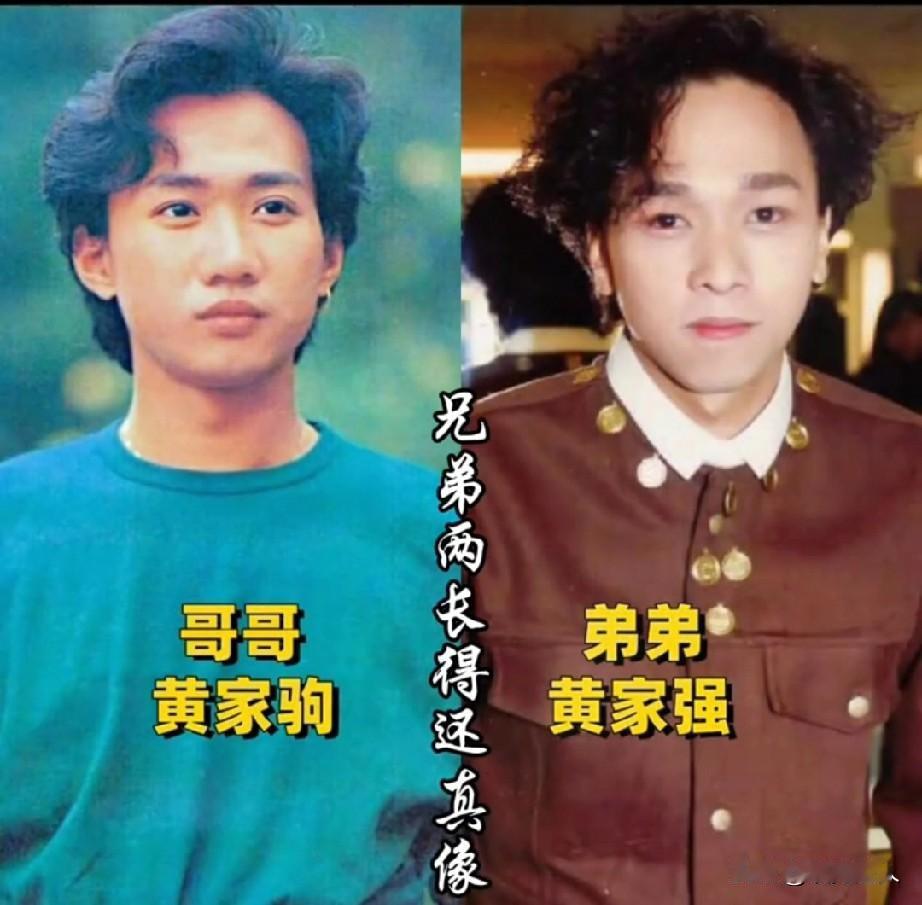 明星亲兄弟颜值对比：黄家驹和黄家强许冠英和许冠杰胡东和胡兵姜文和姜武马