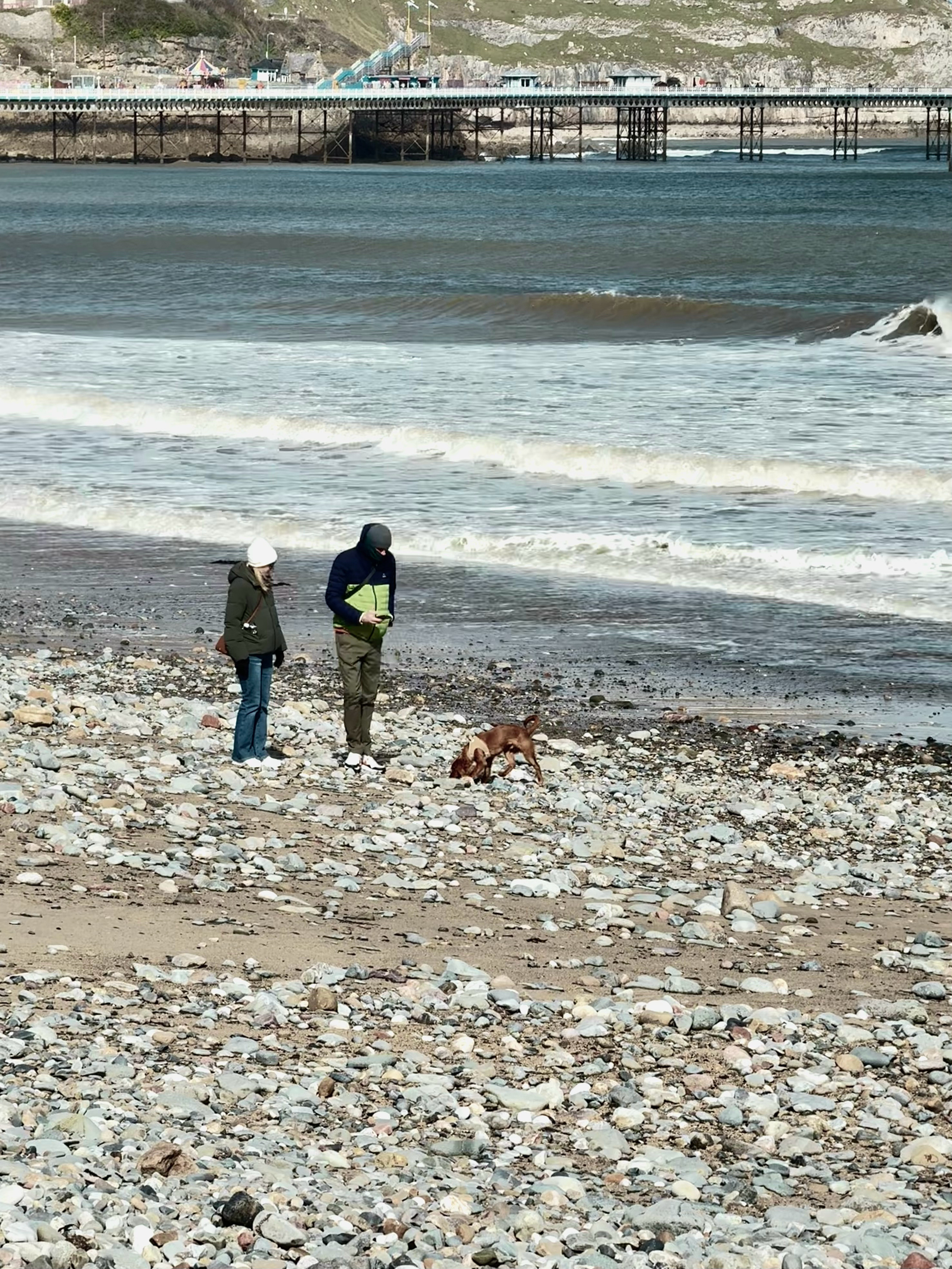 分享图片英国·GreatOrme