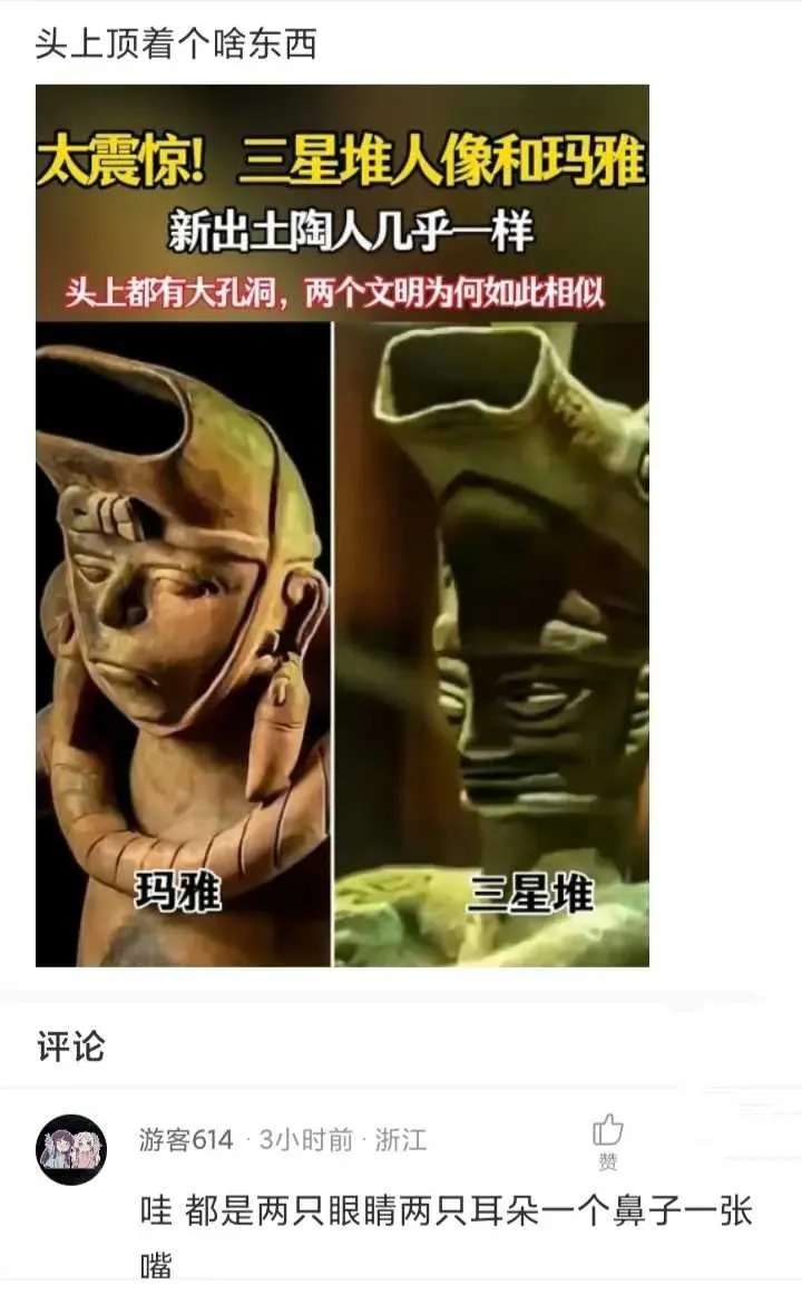 头上顶着个什么东西呢？