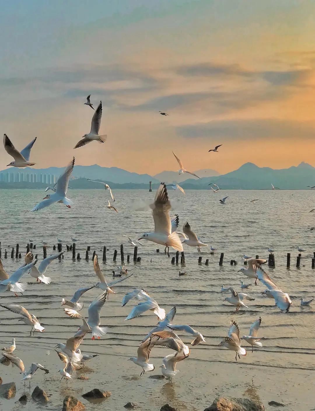 或许有一天，当市场过热的时候，房地产税可能会悄然登场。但可以肯定的是，在房价止跌