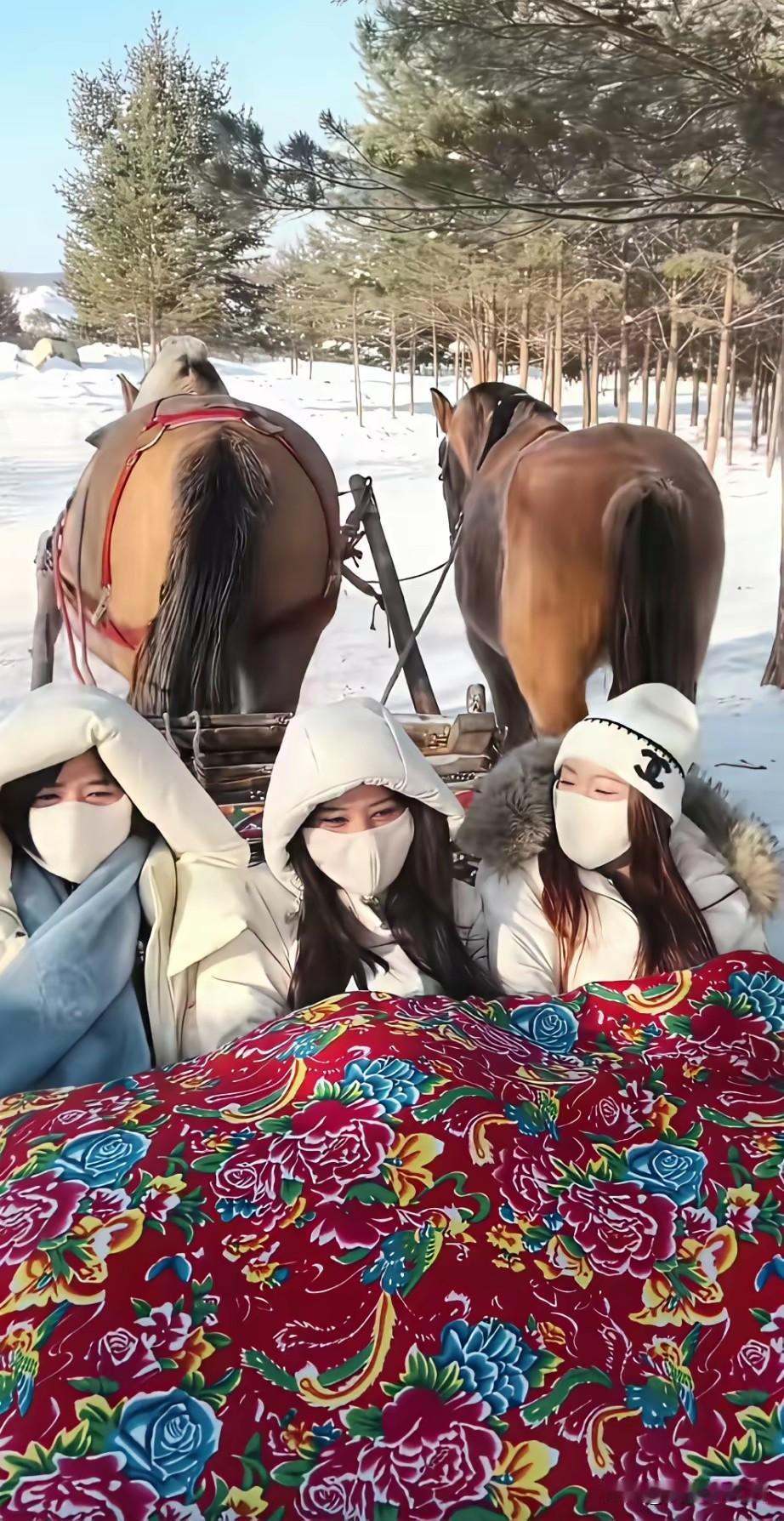 放屁怎么办？[doge]