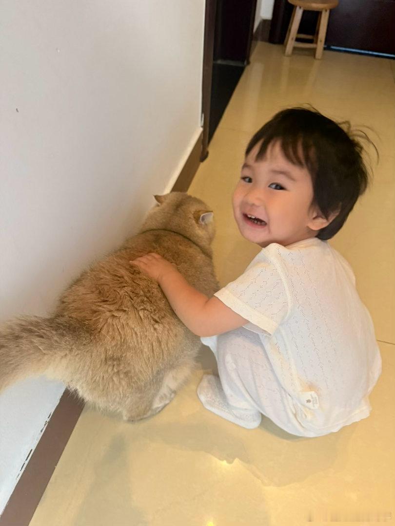 家里八只猫，在外遇见猫咪依旧走不动路萌宠猫咪​​​