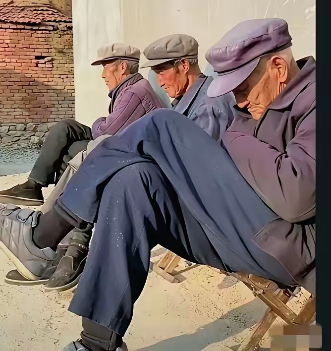 看到这张照片，你悟出了什么道理？