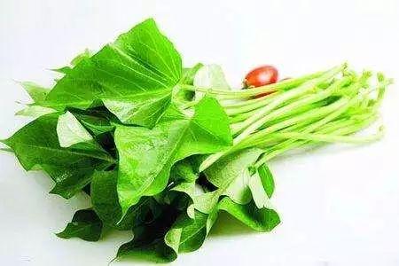 肚子赘肉多太难看? 坚持早晚喝杯它, 刮油消脂, 大肚腩消失