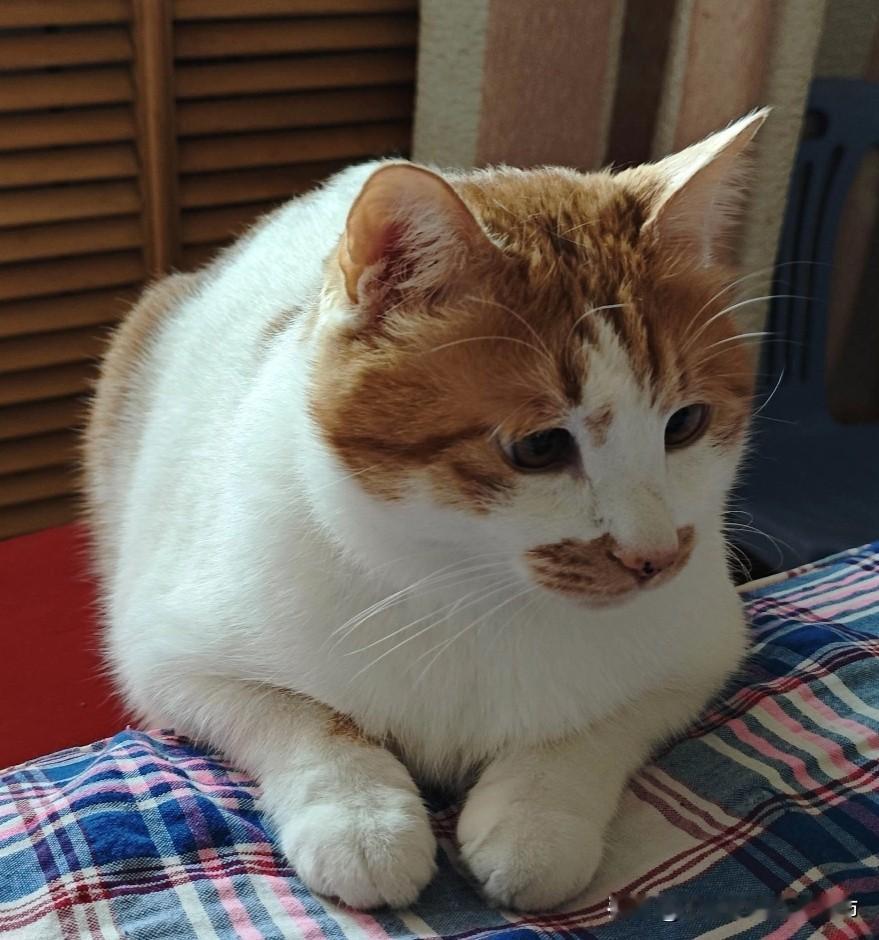 烂人的恶意，不值你耗半分情绪别为烂人消耗情绪，他们的恶意就像垃圾