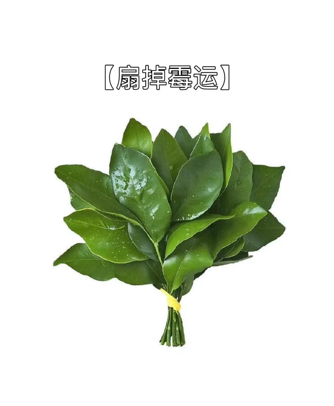 这个九月我将[祈祷][祈祷][祈祷]：​​​