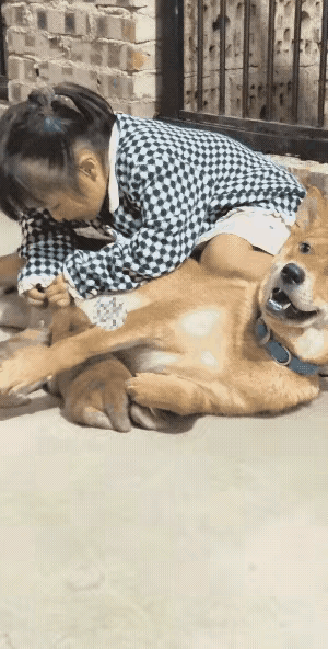 笑到捶桌！这绝对是全网最豪横的干饭名场面，谁看了不被萌到心巴上！