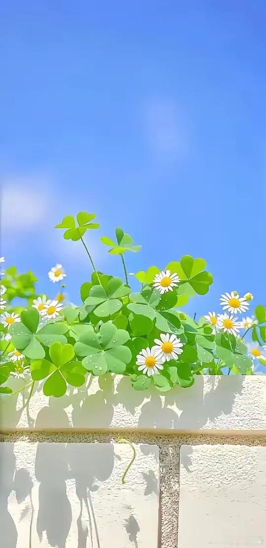 一位银行行长说:“住房贷款利率虽降到低点，但只要钱除了存银行没其他去处，就很有必