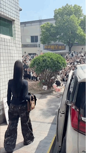 白鹿的背影了解一下！