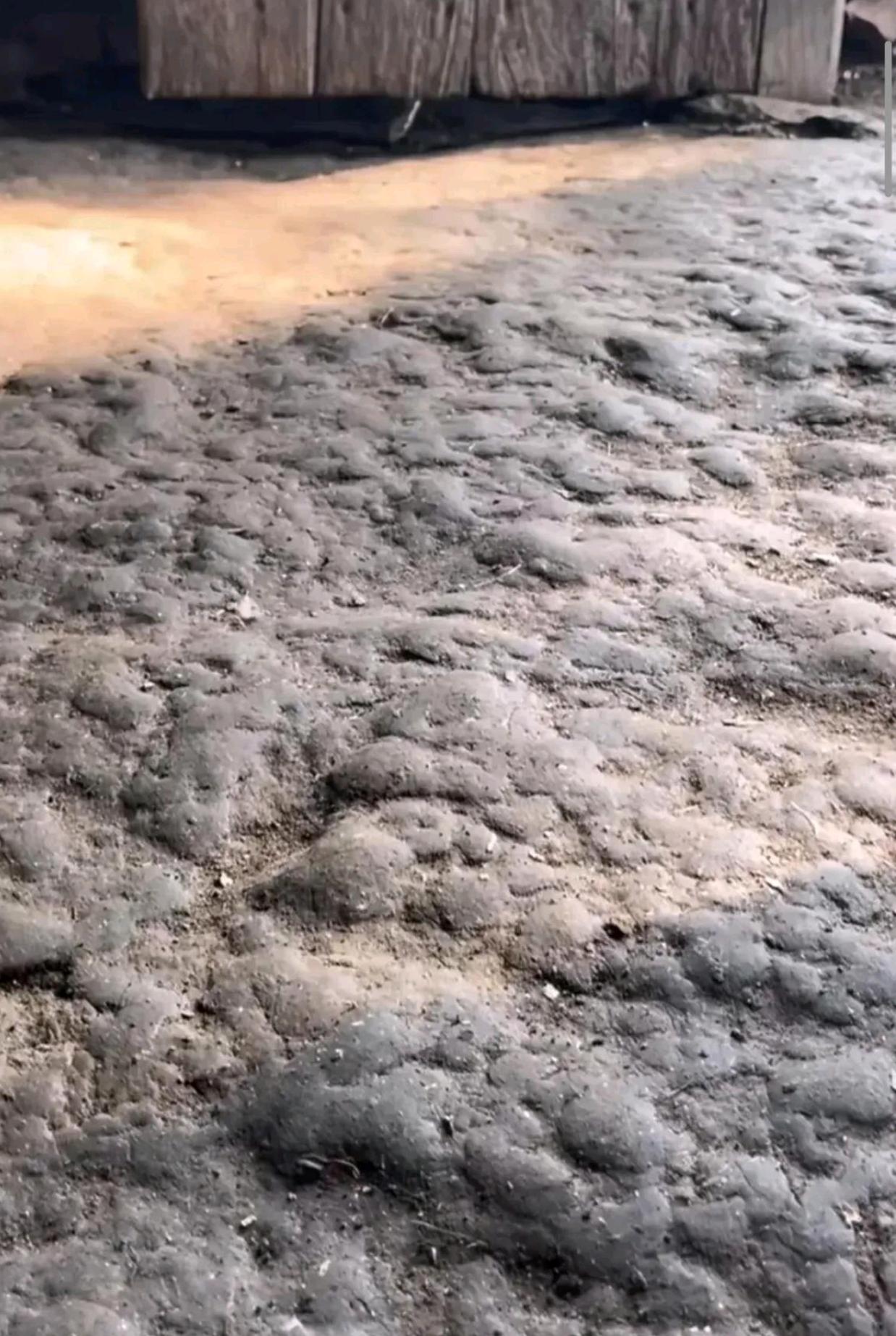 有人在这样的家里长大的吗？