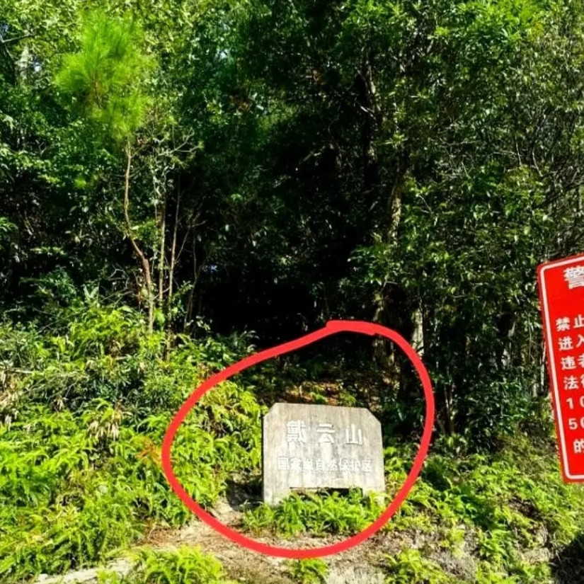 揪心！莆田8岁男童被困深山第四天！白天晒脱皮晚上冻哆嗦，毒蛇盘在暗处吐信