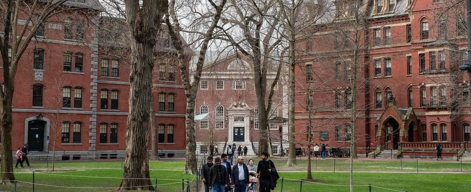 哈佛刚回话了！哈佛大学国际学生办公室官网更新：学校已经知道美国国