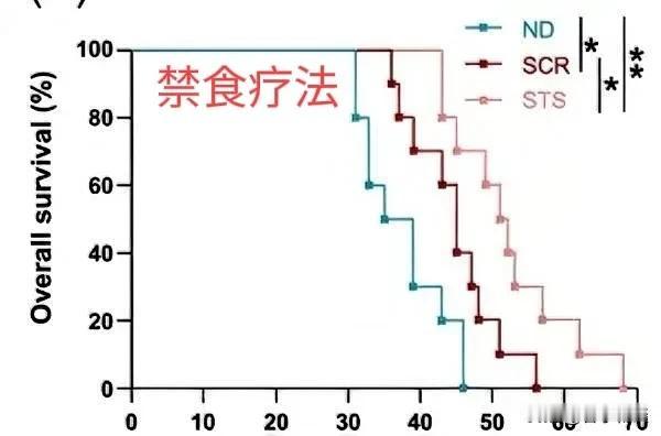 饿肚子竟能抗癌？专家的颠覆认知疗法～都说“人是铁饭是钢”，但最新研究告诉你：适当
