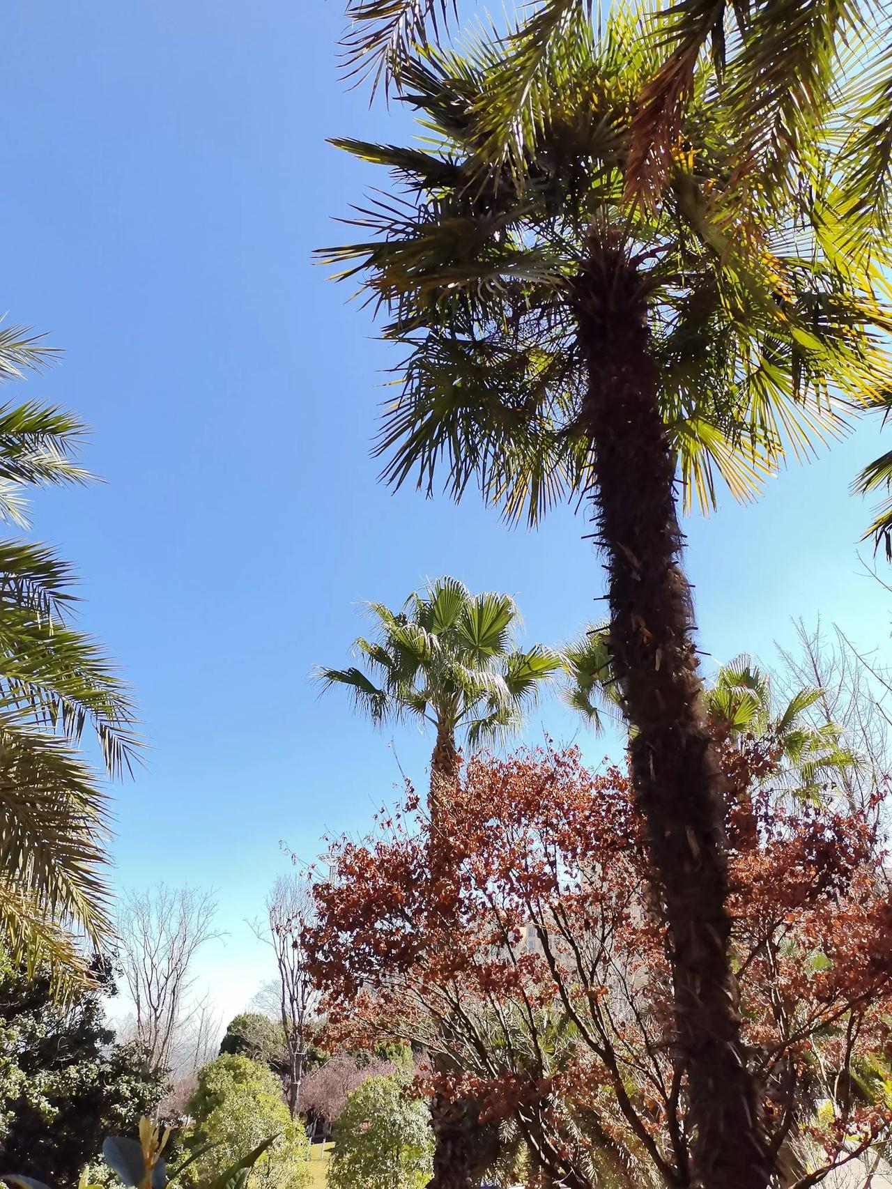 昆明周边的安宁，呈贡，宜良，石林，富民都是好地方，特别适合养老。昆明主城也可以