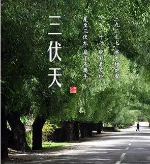 三伏天养生藏大智慧！牢记九字诀窍，长辈安稳过盛夏盛夏三伏，暑热裹挟万物，是