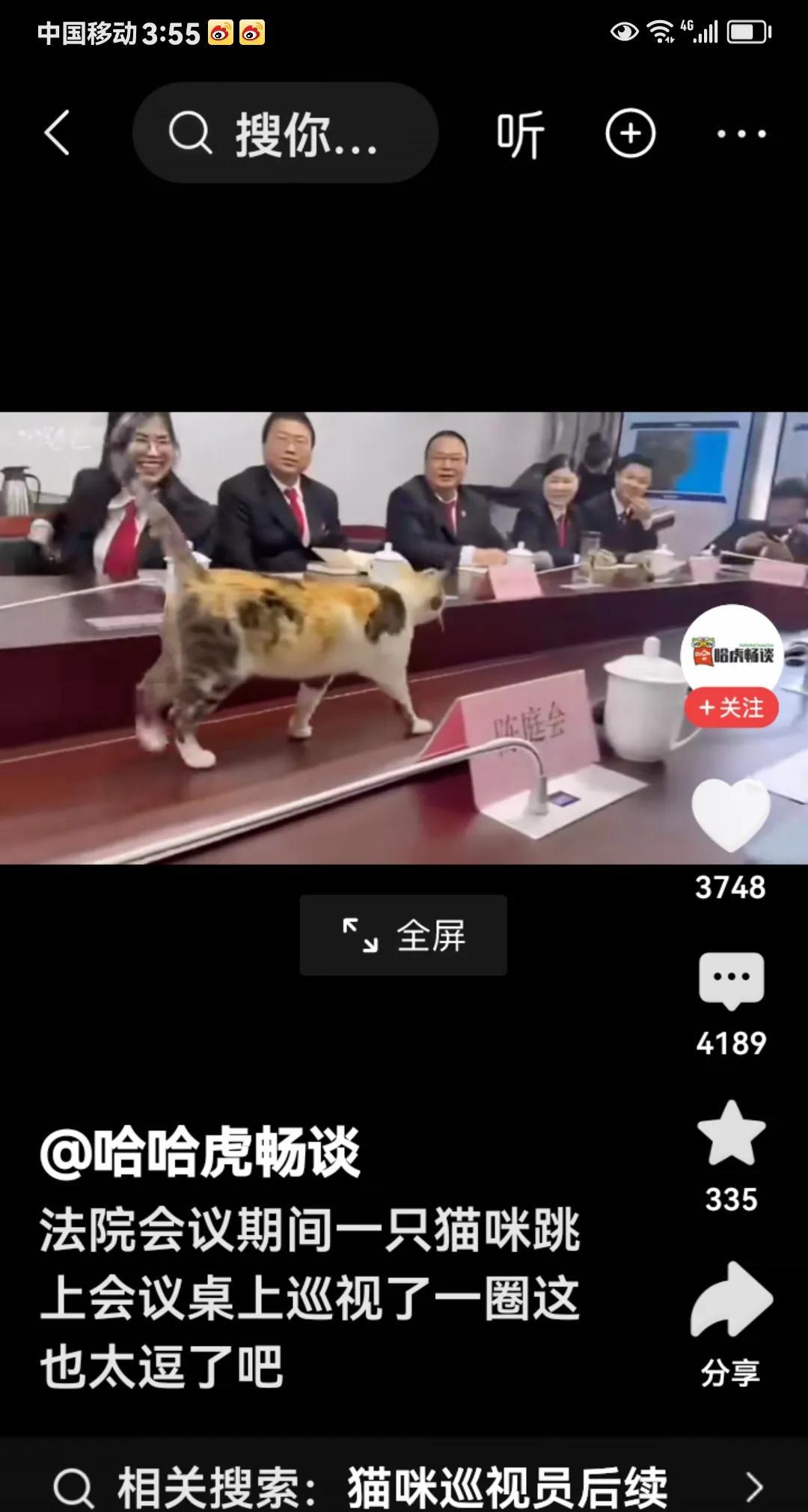 这算不算大闹公堂，蔑视法律？这只猫就这么悠闲自在的跳上桌来，守着一干法官闲庭信