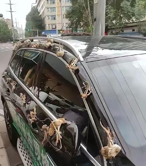 这些装饰，有啥说法，有懂得不[捂脸哭]