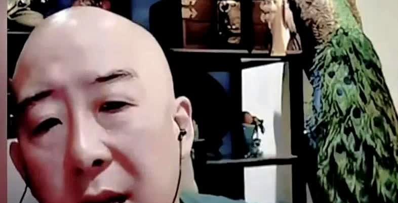 相声演员杨议先生拜师的真正知情人出现了，这个秃头号七的可是杨光快乐生活中的一角，