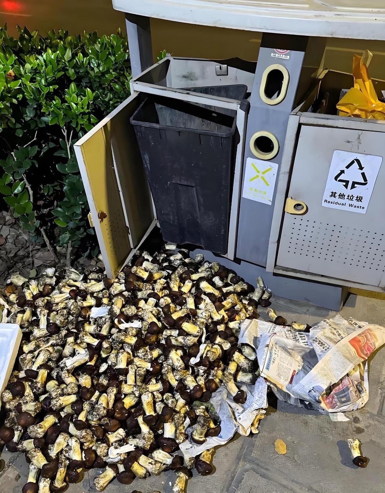 这怎么都不要了呢