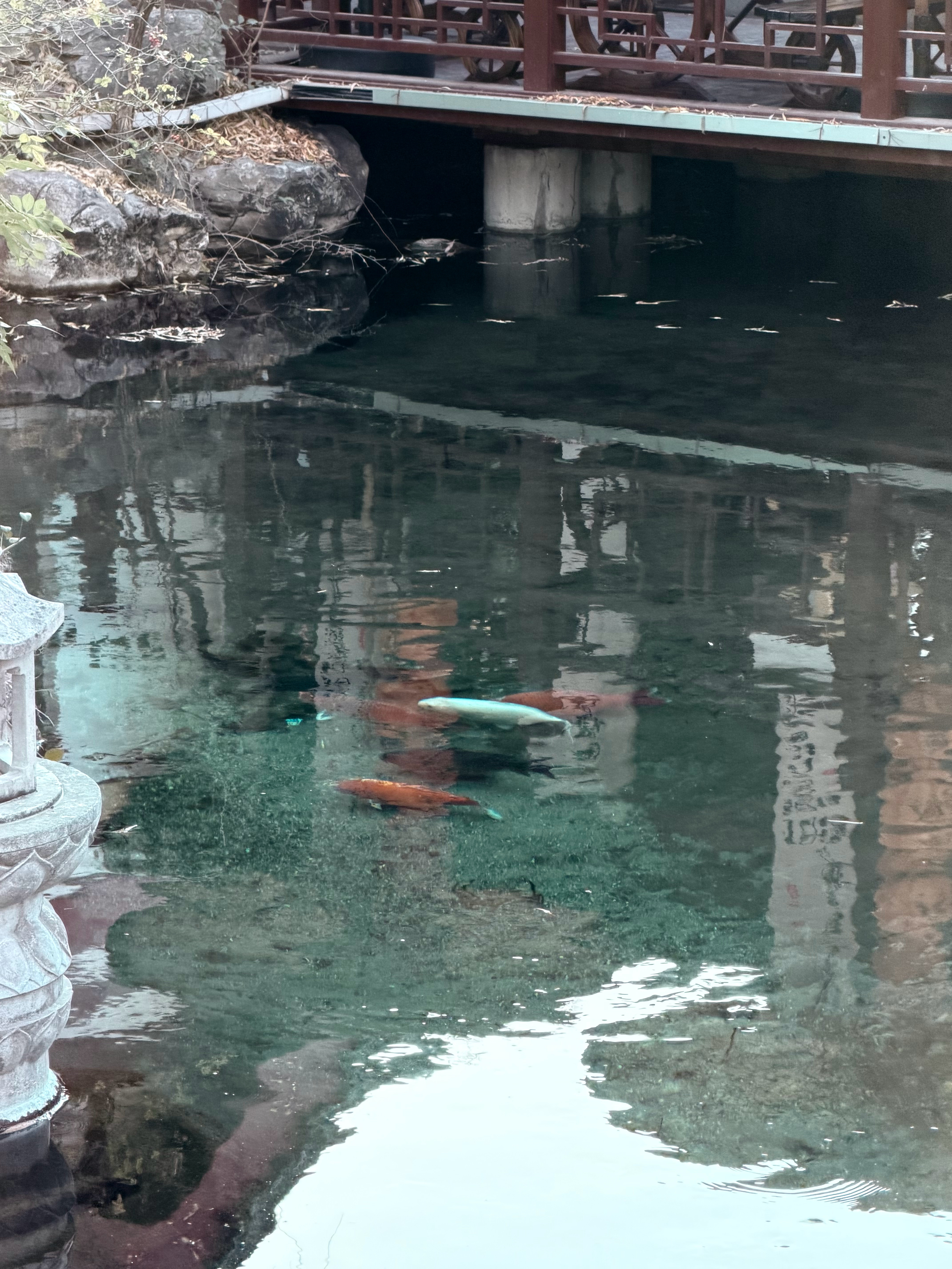 济南的冬天是响晴的济南·趵突泉公园