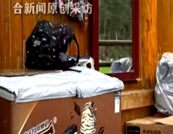 九寨沟这事，真是开了眼了。一个女游客在路边看见一面镜子，顺手拢了拢头发。就这一