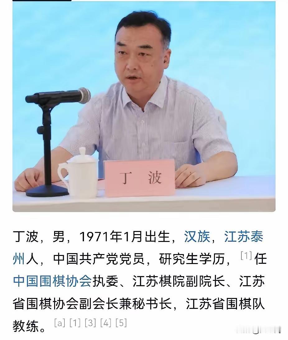 象棋界录音门事件没有结束，中国围棋界又出大丑事，江苏棋院副院长丁波被查。丁波他