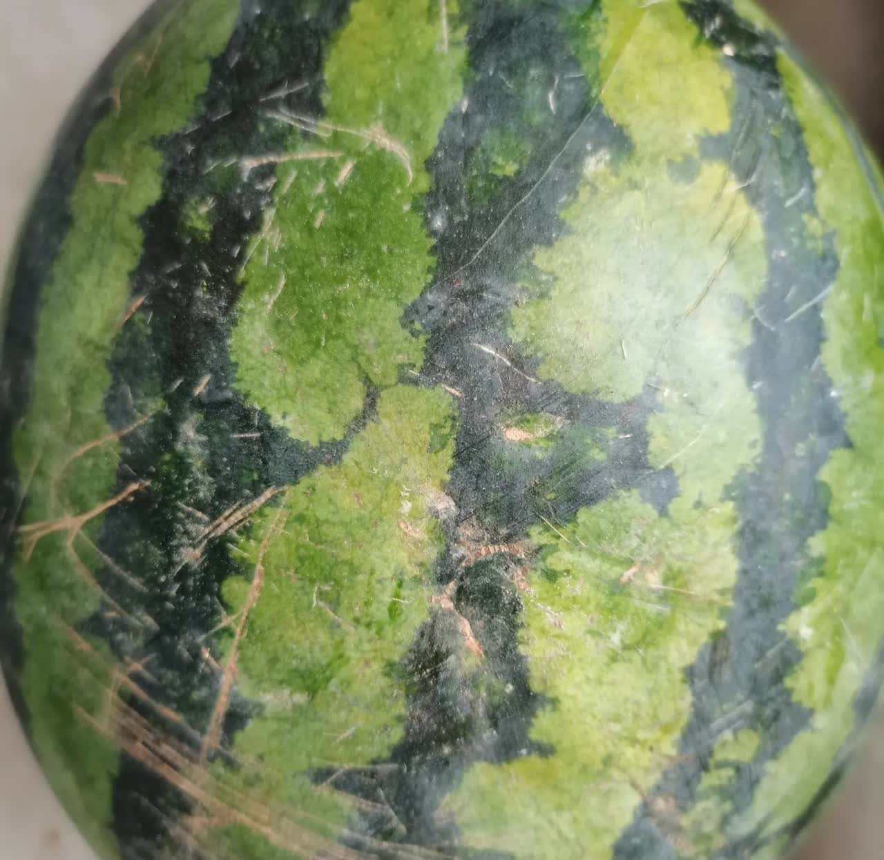 人生尽是不平路，常有烦事恼心间。今天在一个男子处买了个西瓜，不由感慨万千。这个人