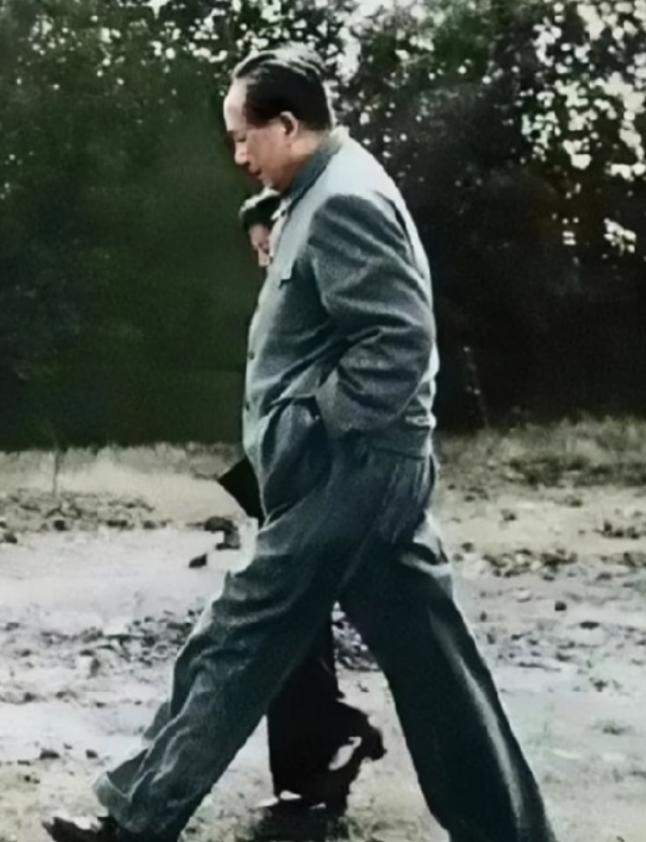 毛主席散步有个显著特点，龙行虎步，从不走回头路，在北京或是外地郊游时，他总是大步