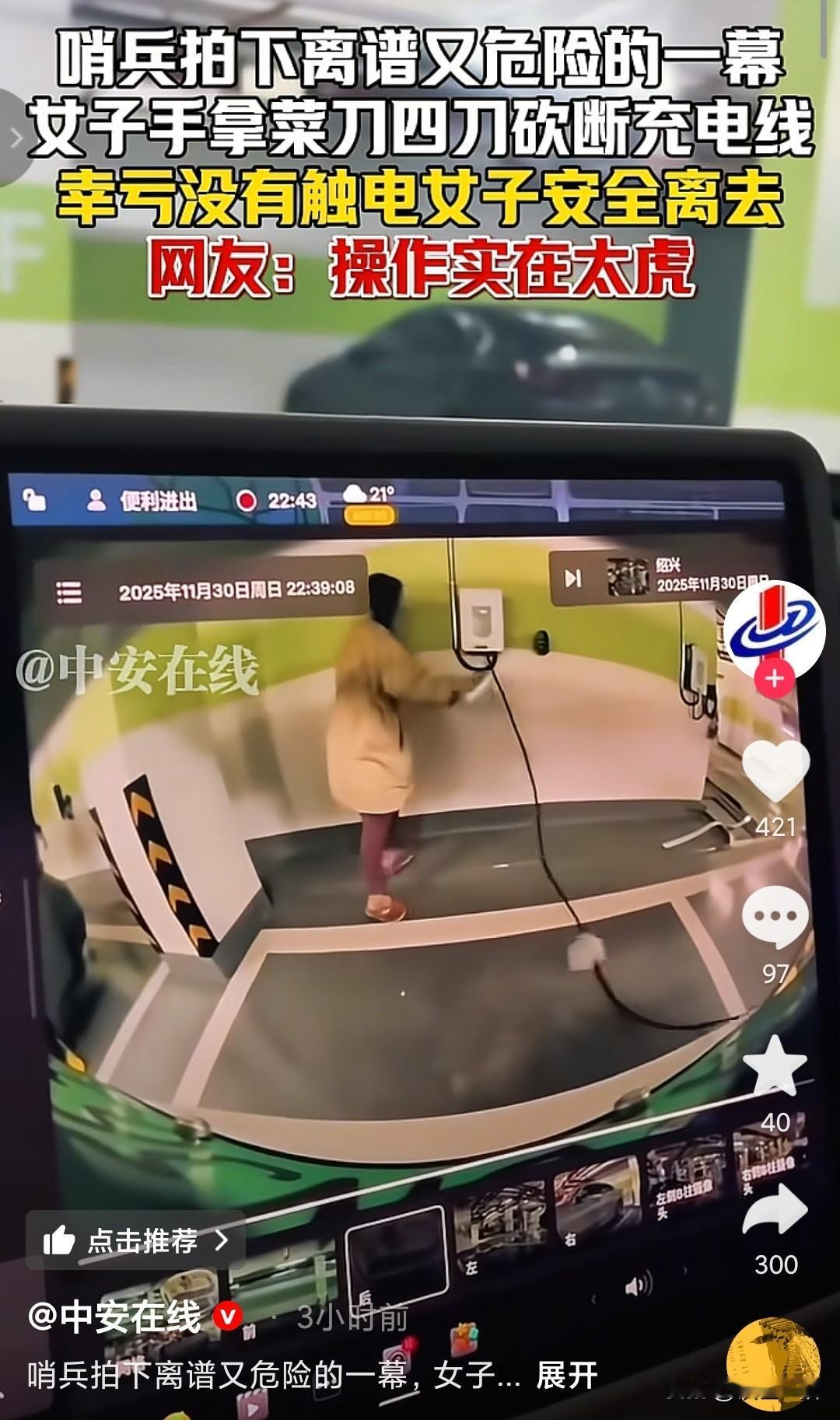 “真是无知者无畏”，一位女士跑去把正在给车辆充电的充电线给砍断了。事情发生在