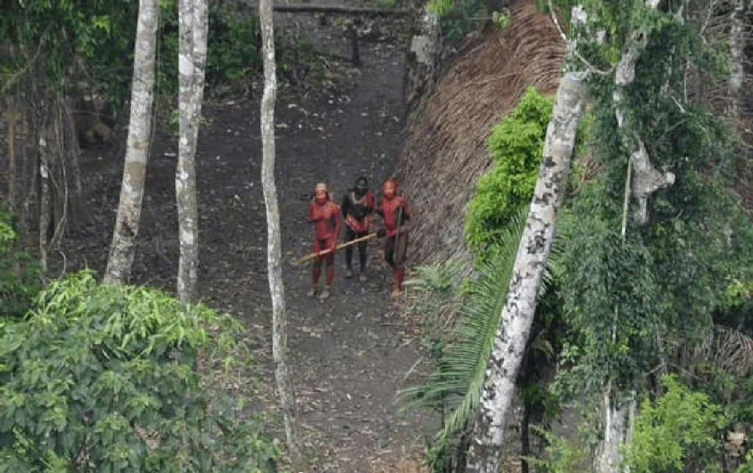 无人机拍到亚马逊森林里的原始部落。巴西土著管理机构FUNAI通过无人机航拍巴西