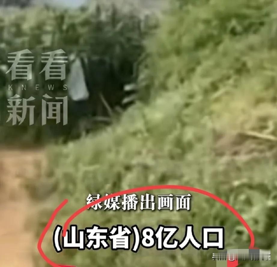 广东省和山东省是仅有的2个人口过亿大省，哪里有8亿人口的超级大省？中国共有34