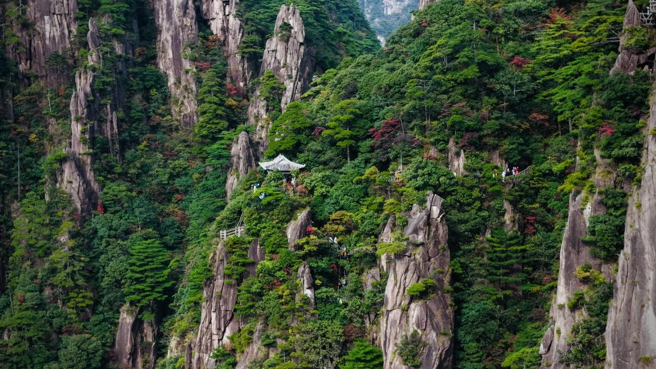 层林尽染，黄山风景区进入最佳赏秋期清晨，薄雾如轻纱般缭绕在山间，给千峰万壑蒙