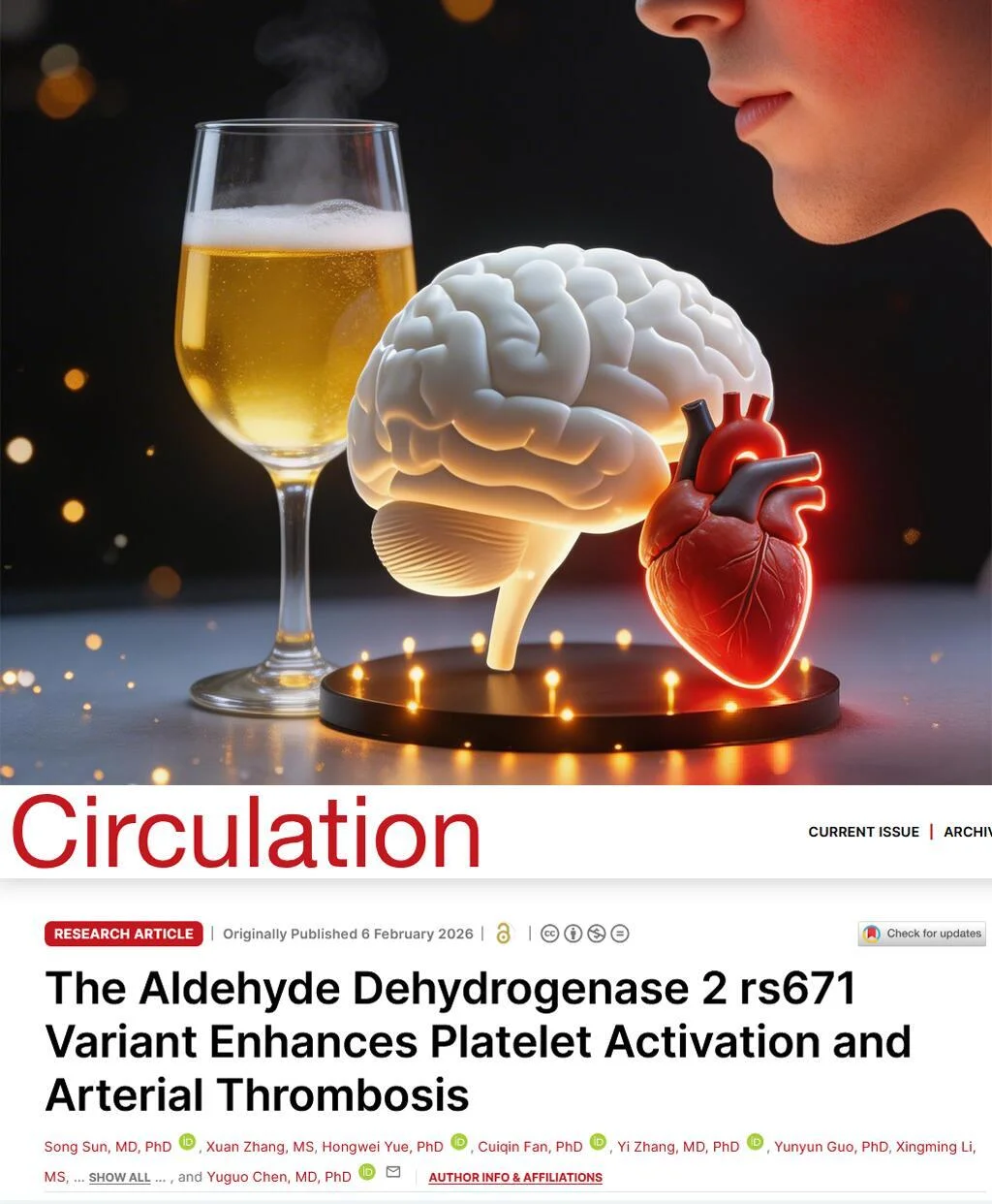 Circulation重磅-喝酒脸红与心梗机制解开