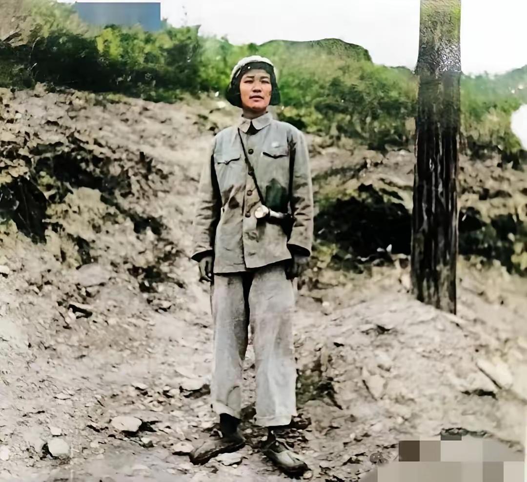 将门风骨，隐于尘埃亦生辉​​戴藩篱，戴安澜将军之女。十七岁瞒母参军，携父遗