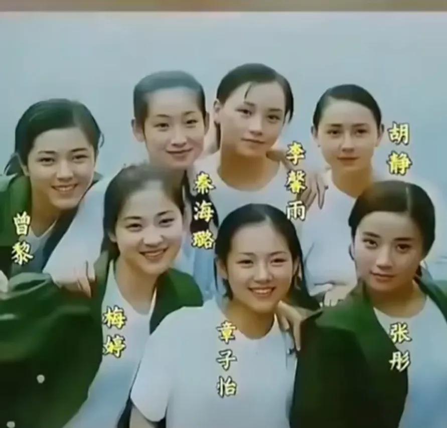 这张照片中，年轻时的梅婷颜值出众。秦海璐也不错。