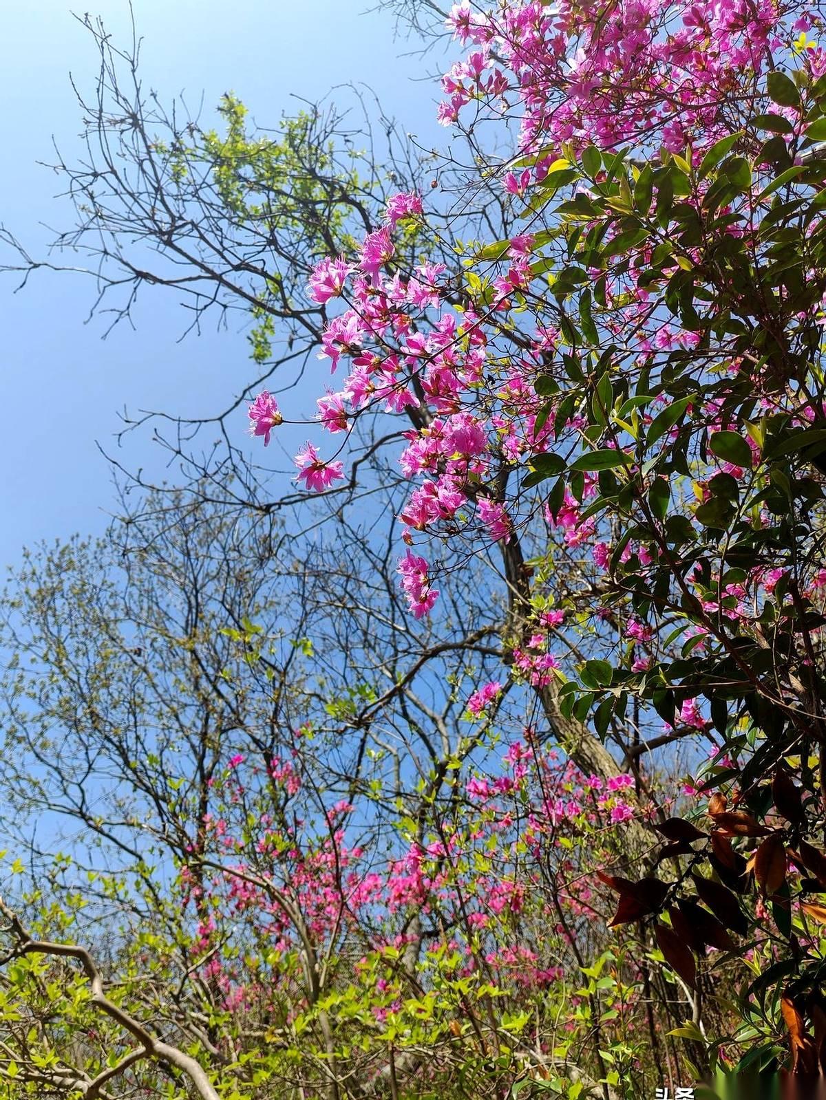 一个38岁的离异女人，带着个女儿，却在相亲桌上定下了一条“铁律”：同龄的未婚男，